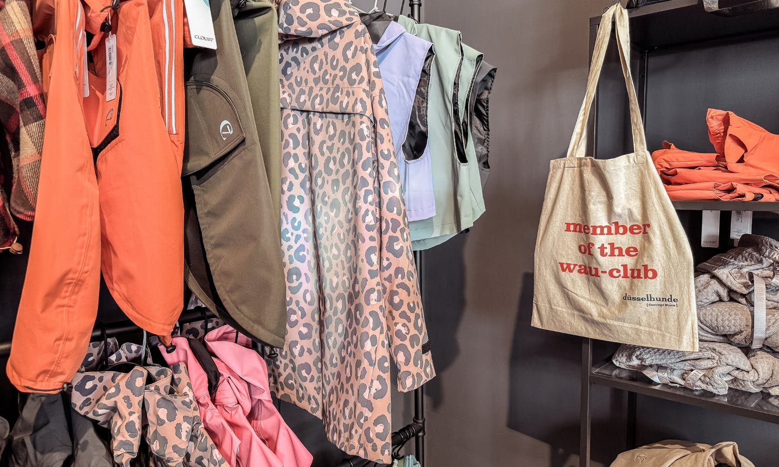 Hundeboutique in Düsseldorf Flingern düsselhunde