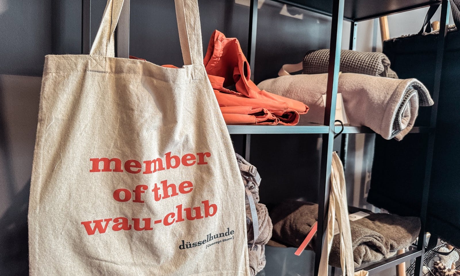 Düsselhunde Concept Store