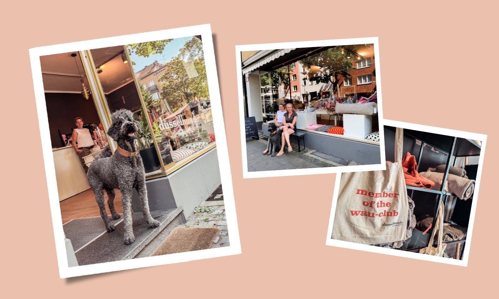 düsselhunde Concept Store in Düsseldorf Flingern