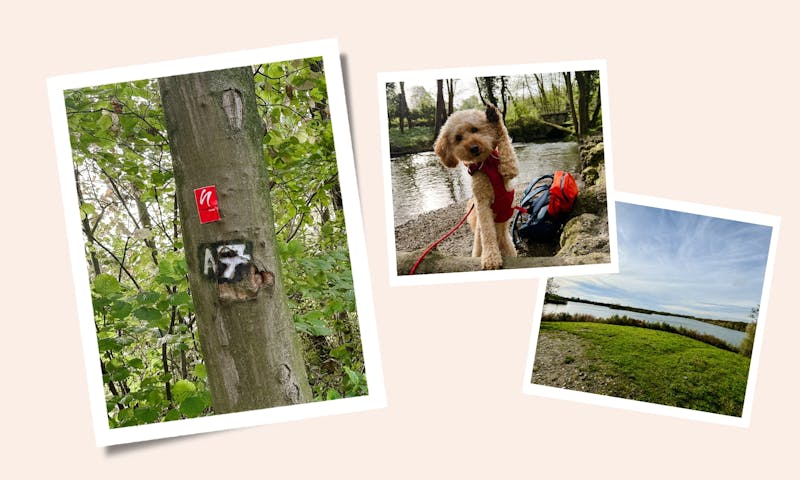 Ausflugstipps ins Neanderland mit Hund – Natur, Kultur und spannende Wanderwege