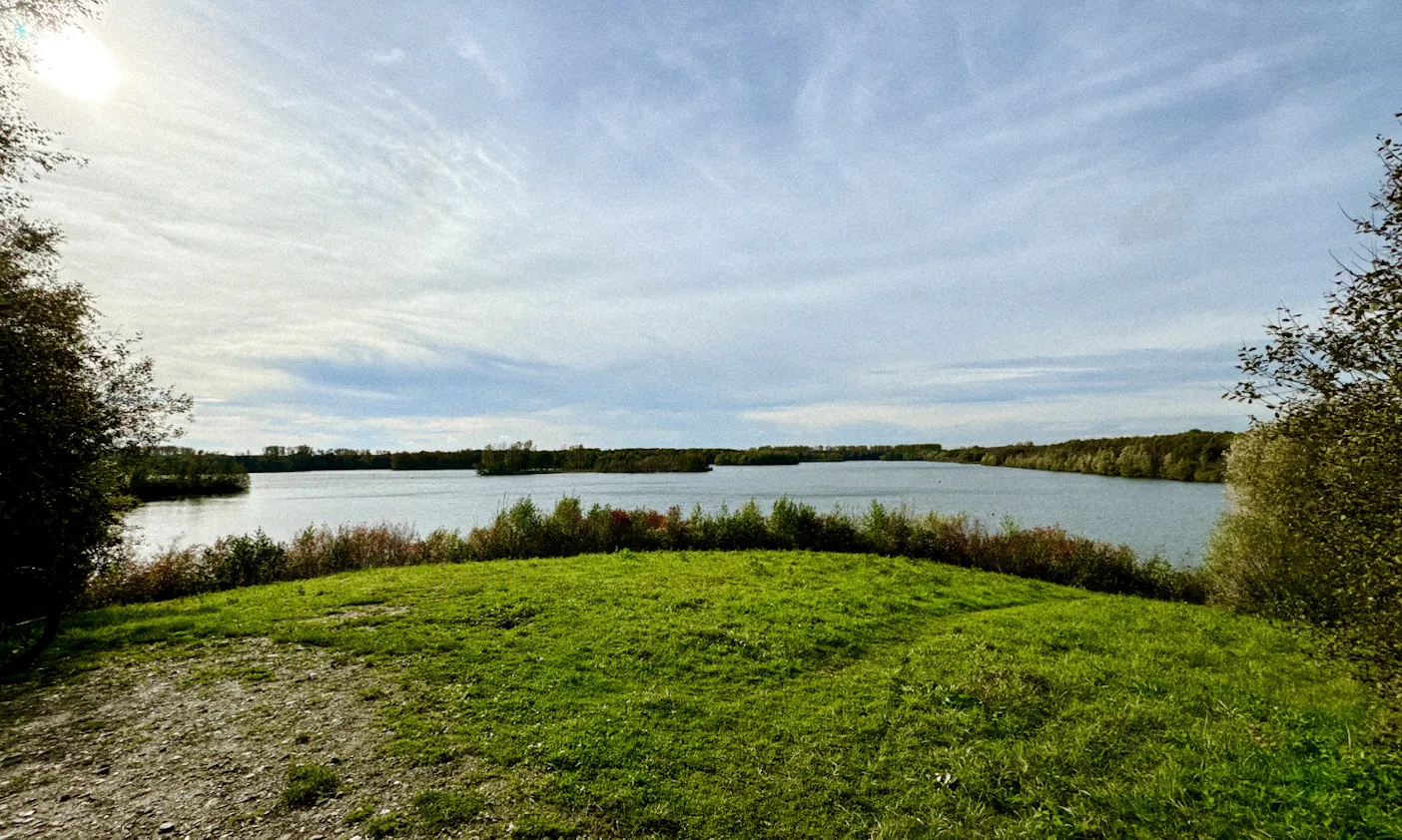 Elbsee mit Hund