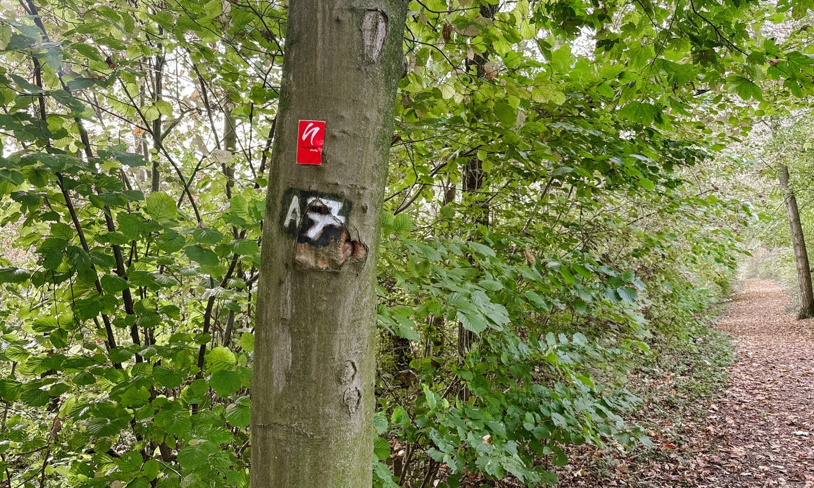 Neanderland Wanderweg bei Düsseldorf