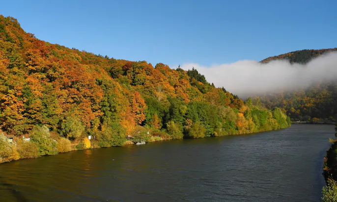 Saarschleife im Herbst
