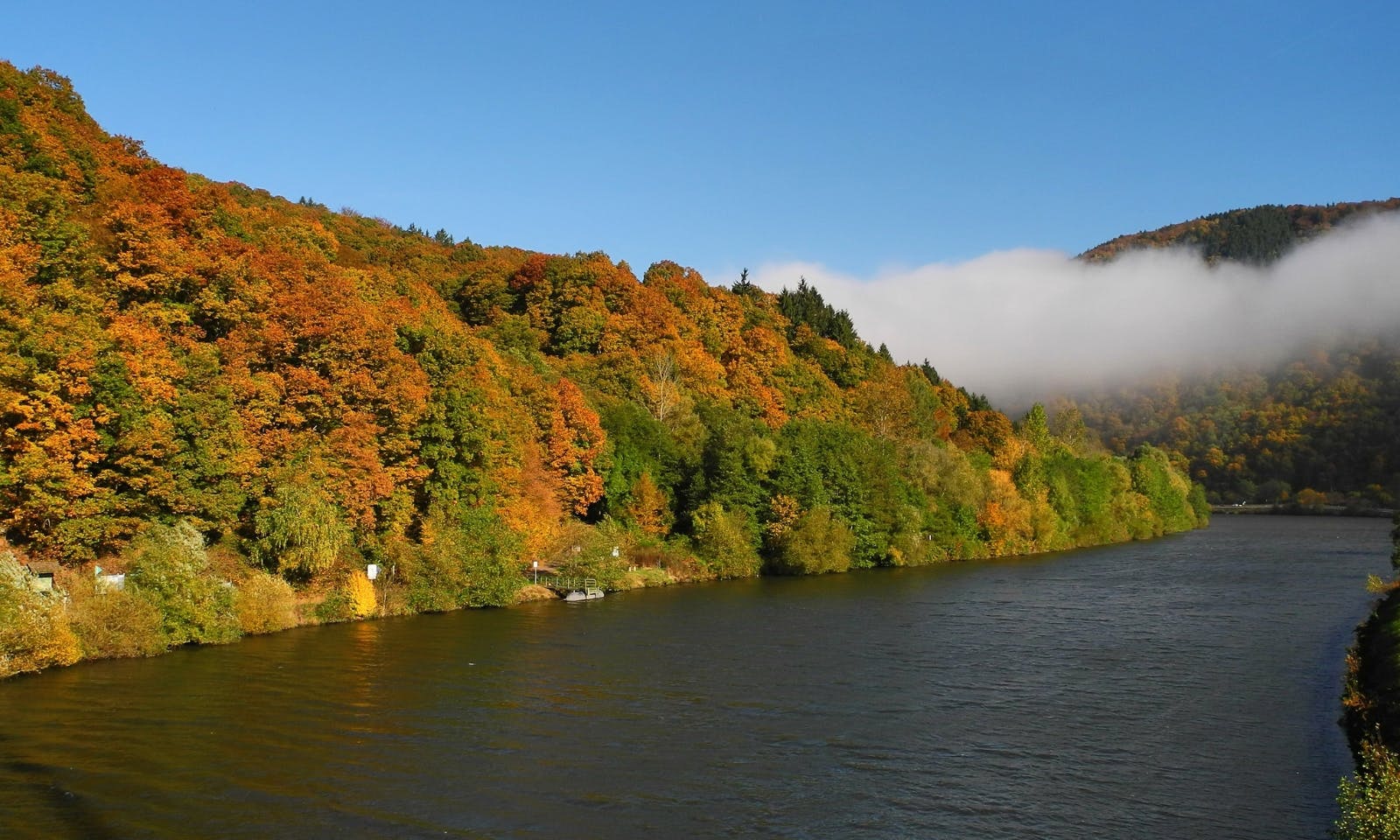 Saarschleife im Herbst