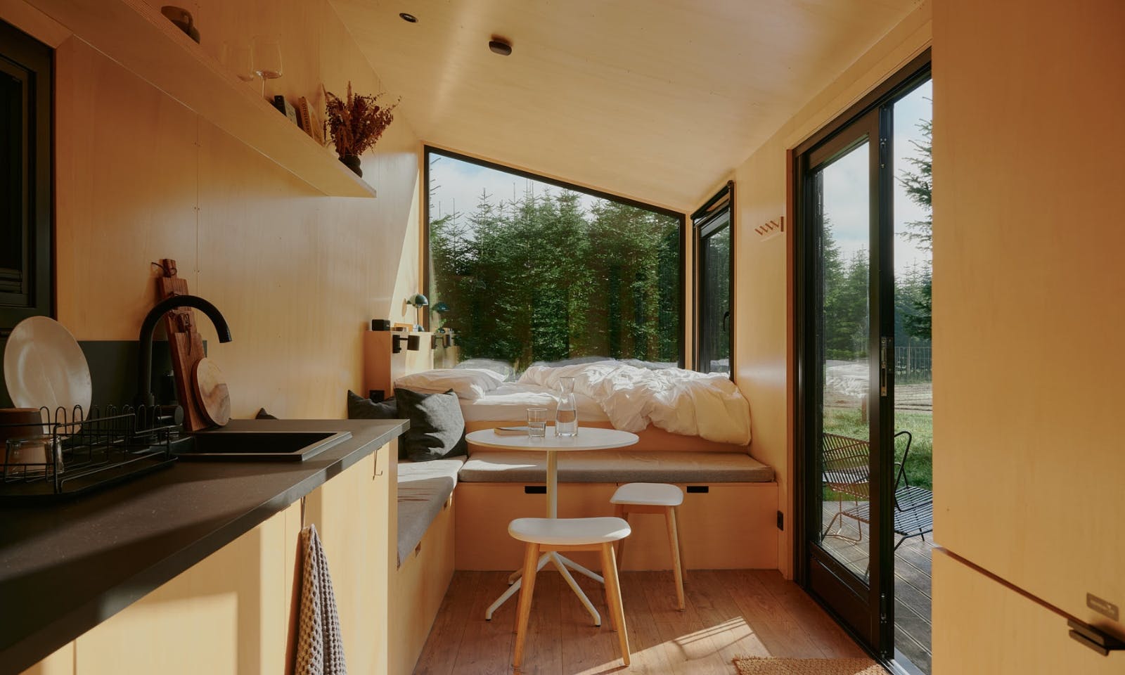 Tiny House Raus ins Tannenlicht