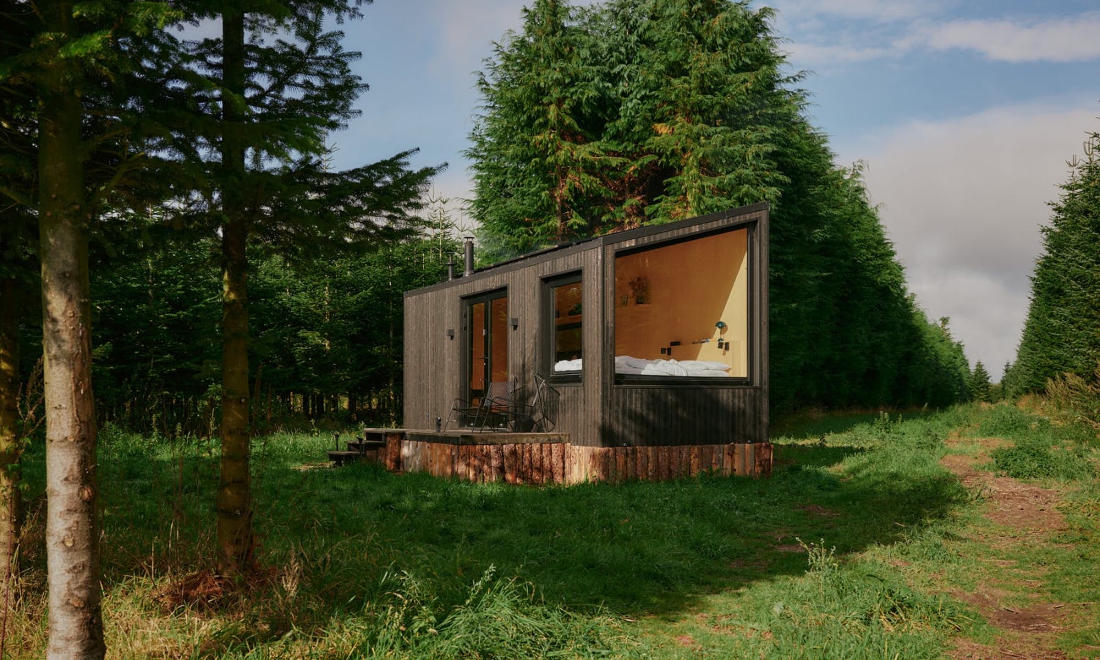 Raus ins Tannenlicht