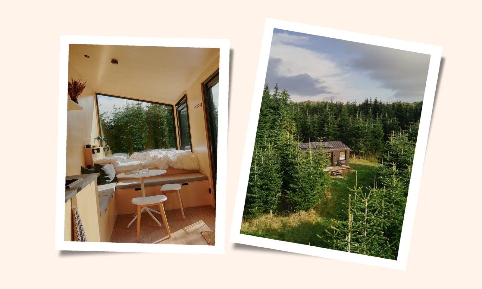 Deutschland entdecken mit Hund: Die Top Tiny Houses auf unserer Bucket List