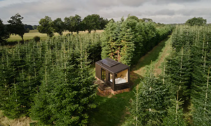 Hundefreundliches Tiny House Raus ins Tannenlicht