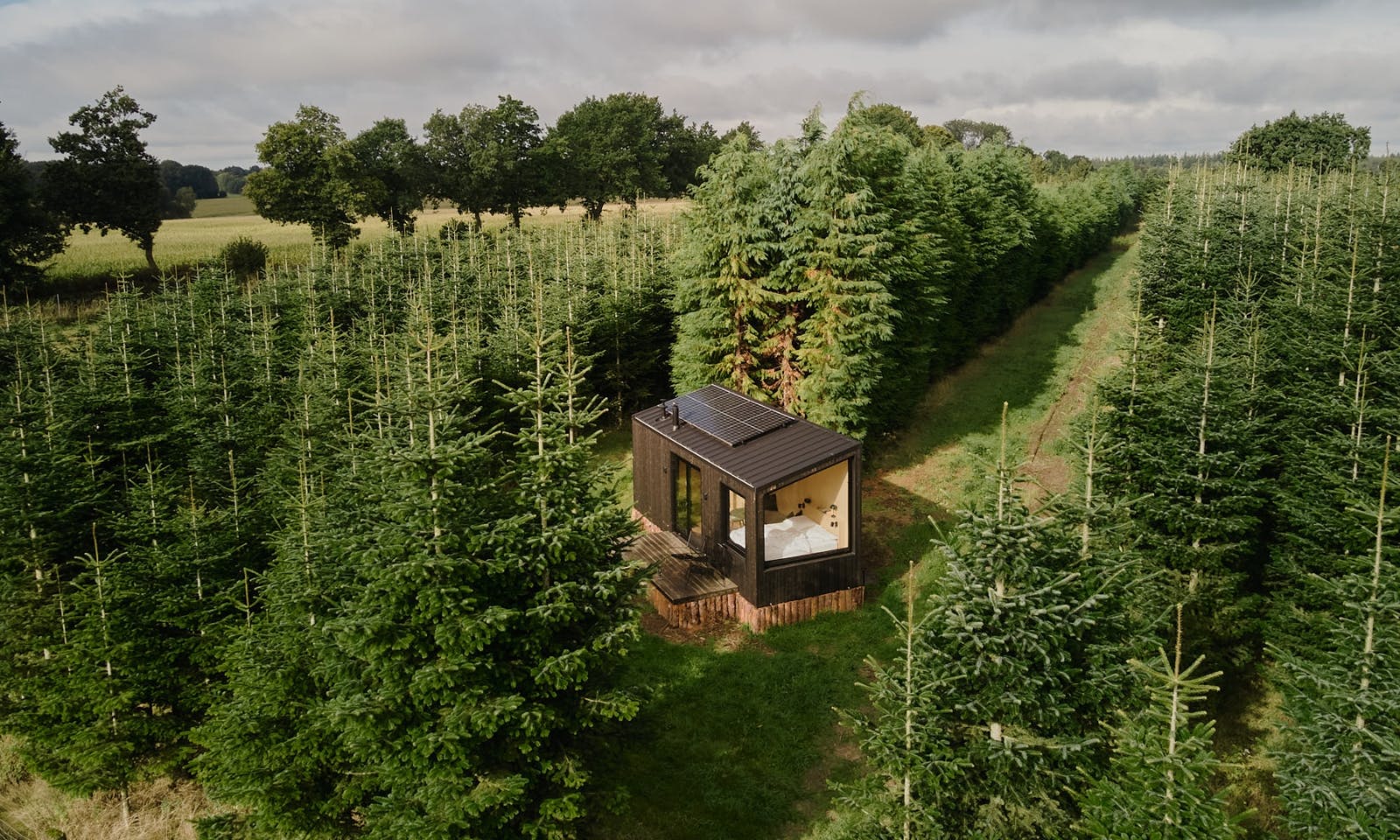 Hundefreundliches Tiny House Raus ins Tannenlicht