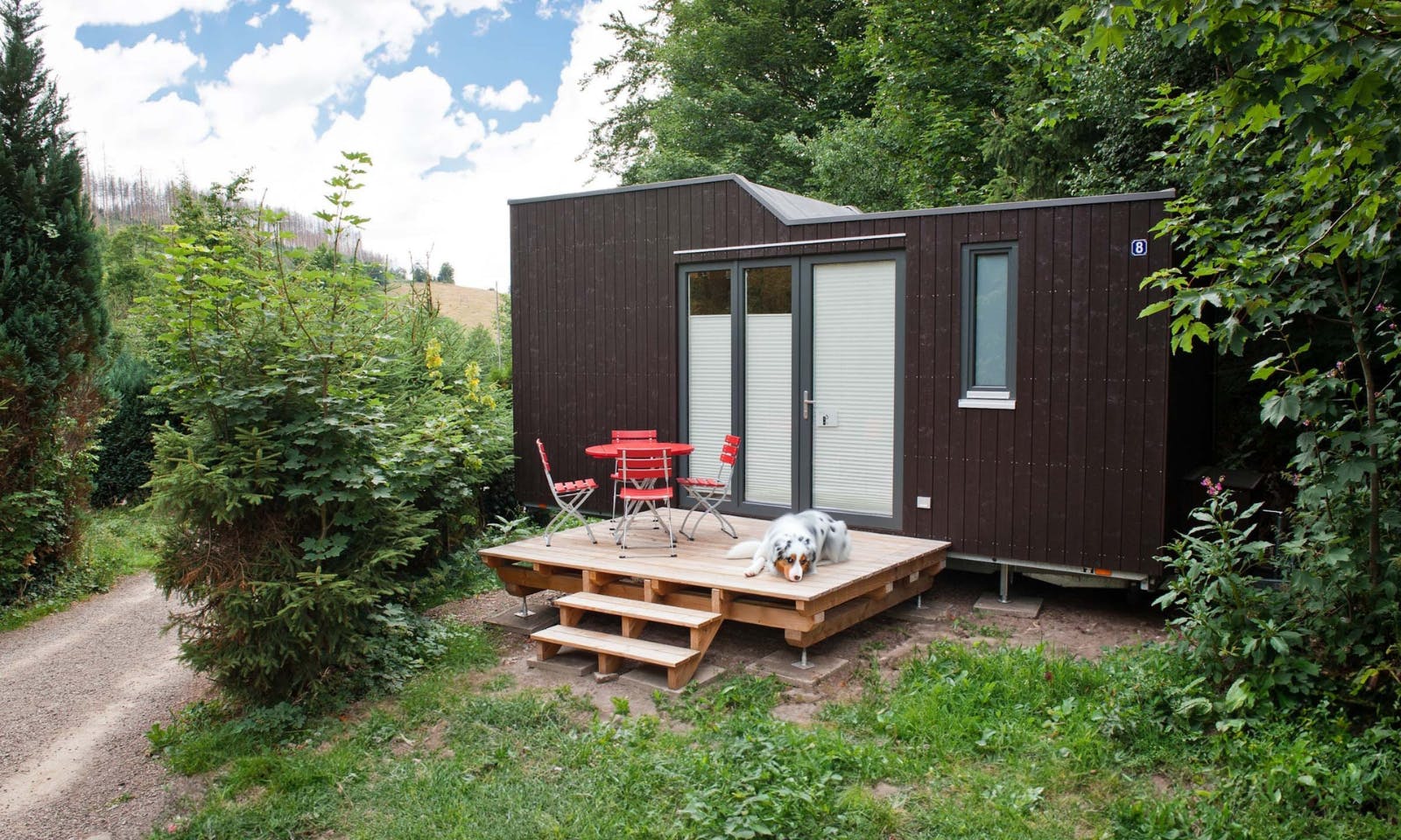 Green Tiny Village Harz mit Hund