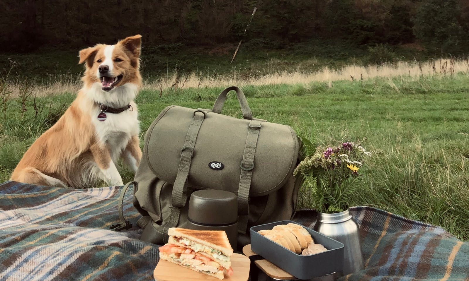 Green Tiny Village Harz mit Hund