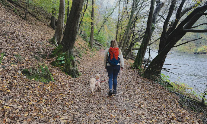 Wandern an der Wupper mit Hund in Solingen Burg
