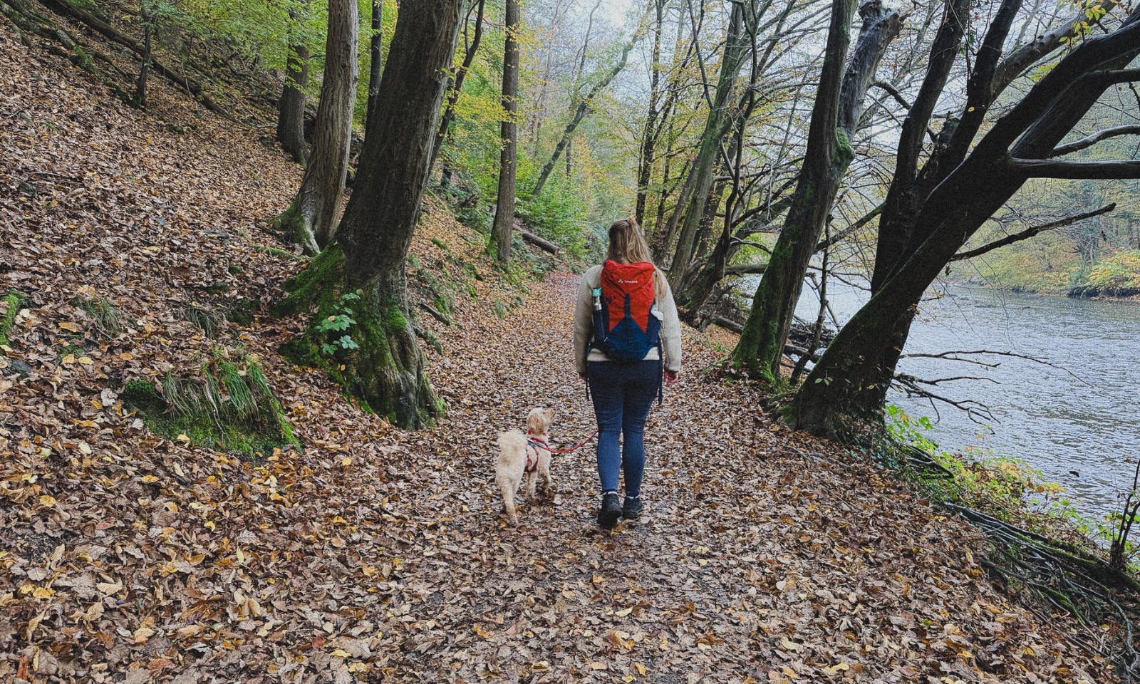 Wandern an der Wupper mit Hund in Solingen Burg