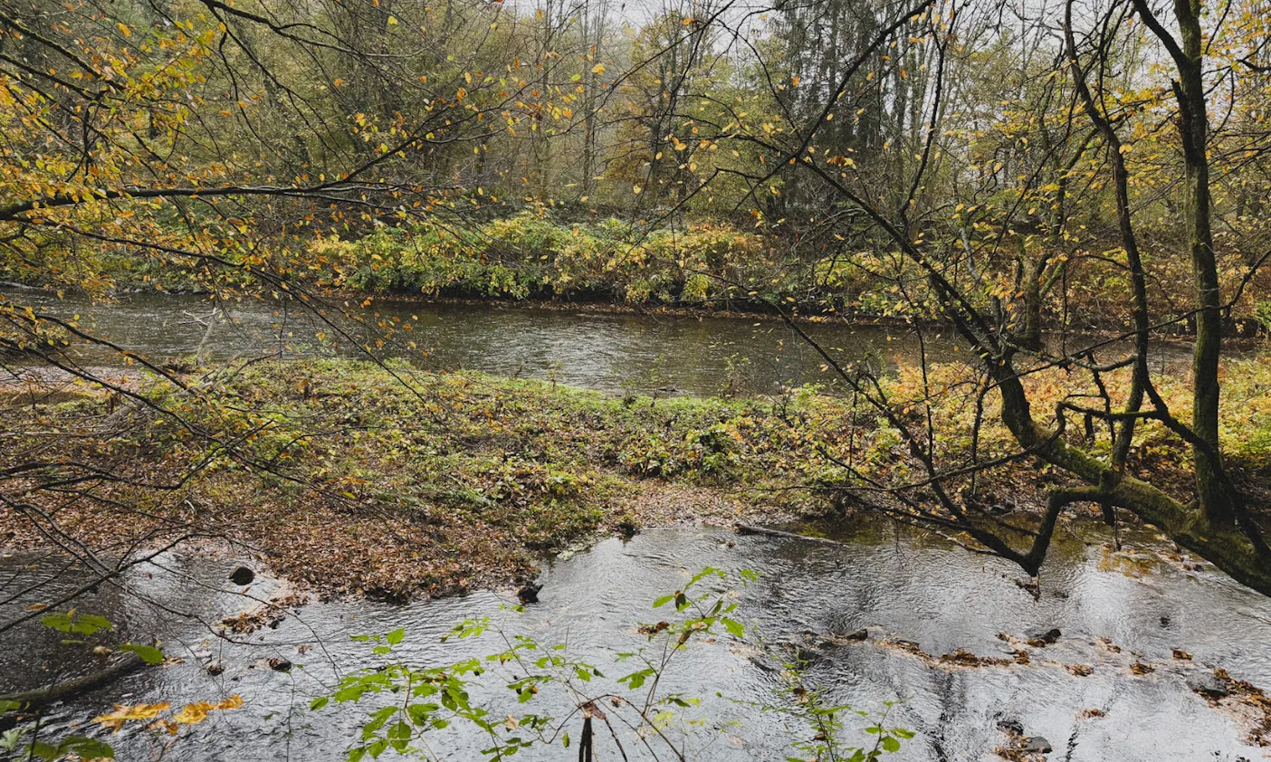 Wupper