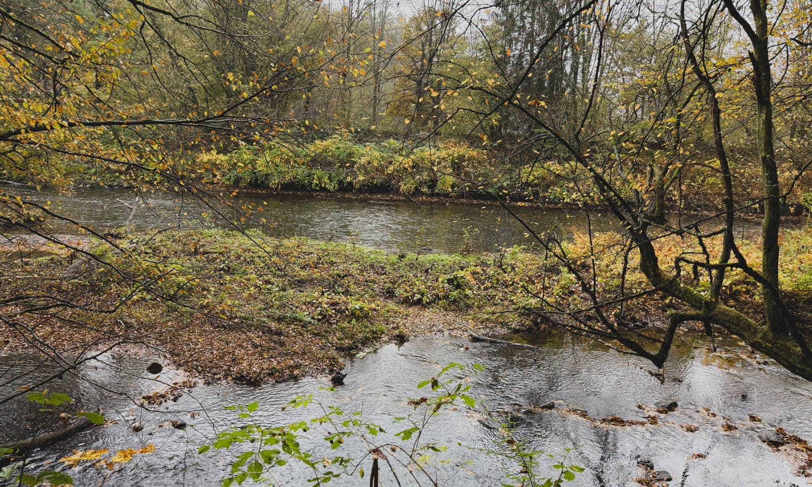 Wupper