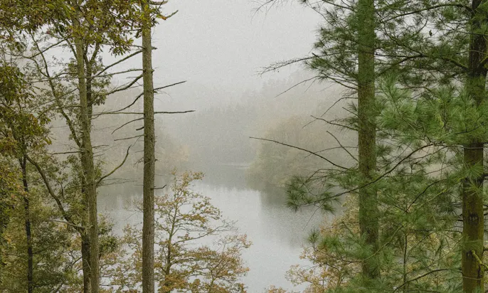 Blick auf die Sengbachtalsperre vom Wald aus in Solingen