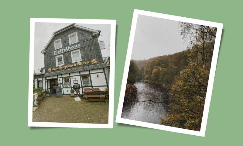 Wandern mit Hund in Solingen