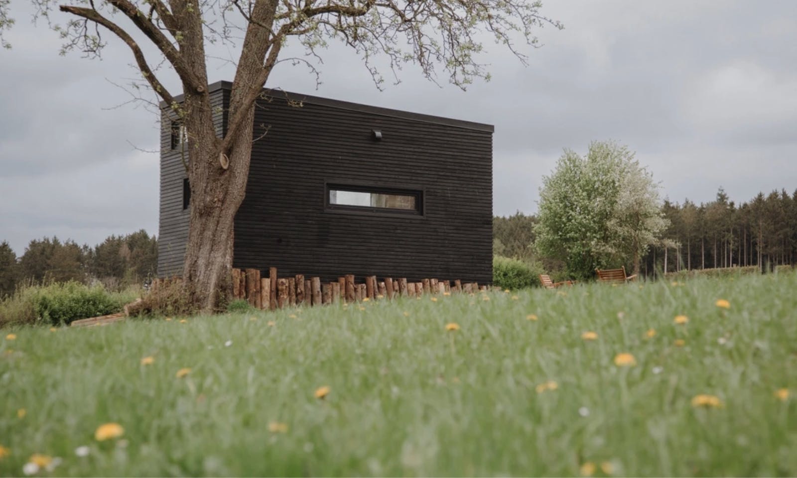 Tiny House Kuckuck am Birnbaum