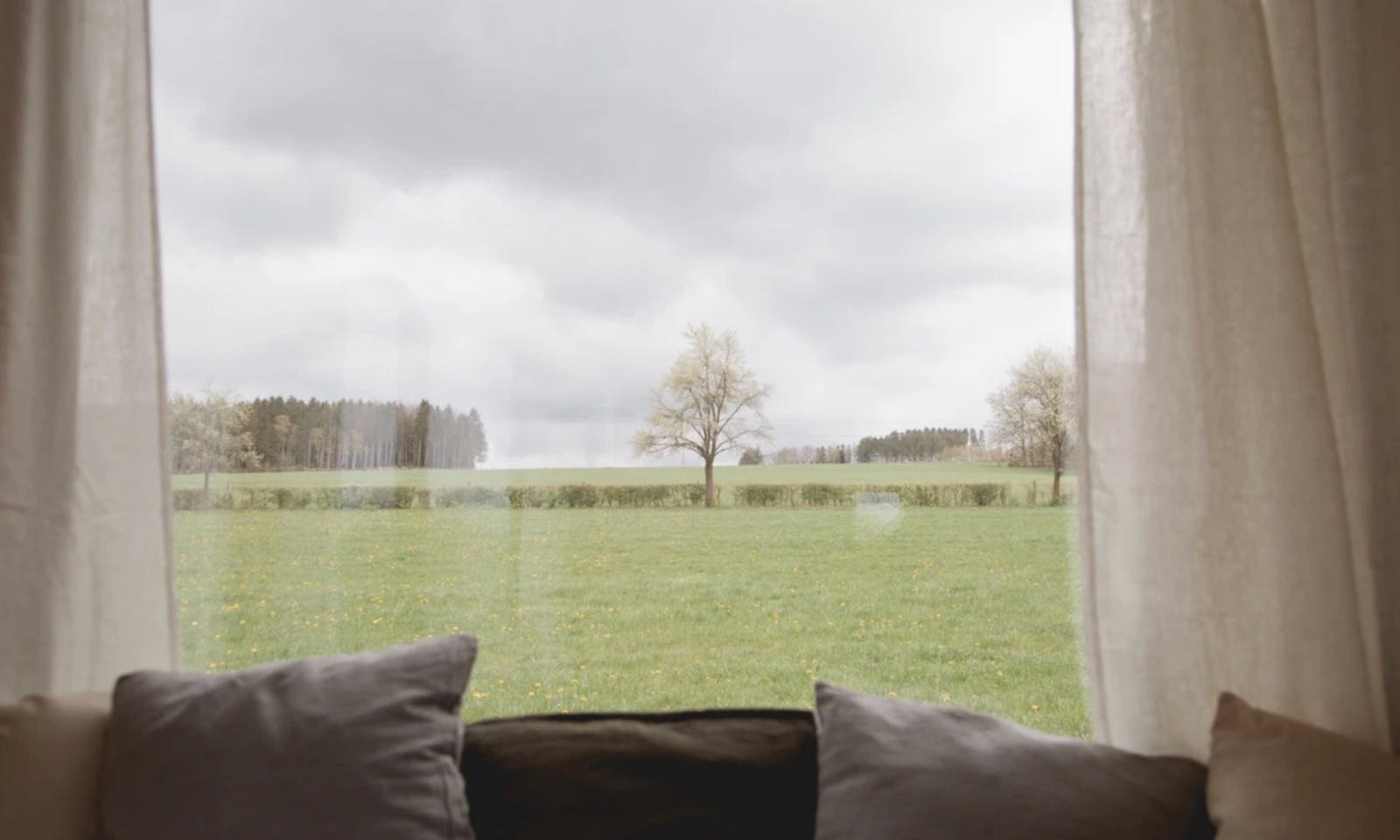 Tiny House Kuckuck am Birnbaum