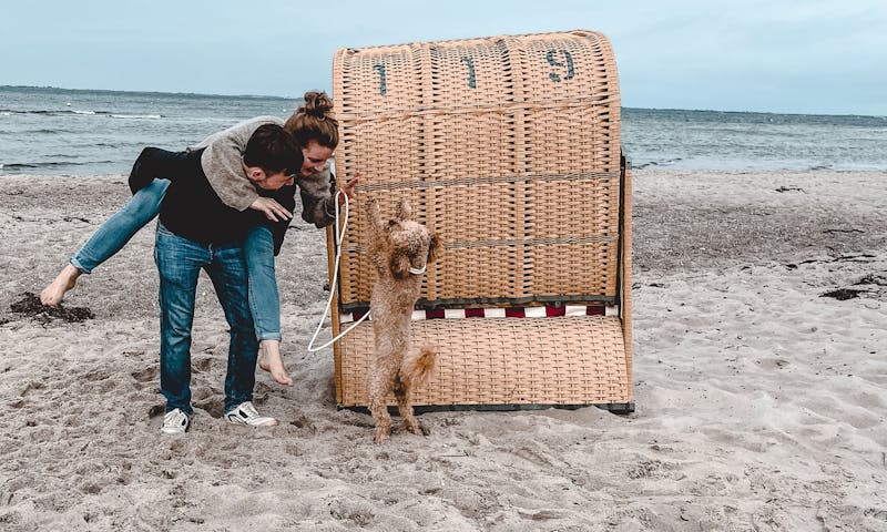 Hundestrand Ostsee