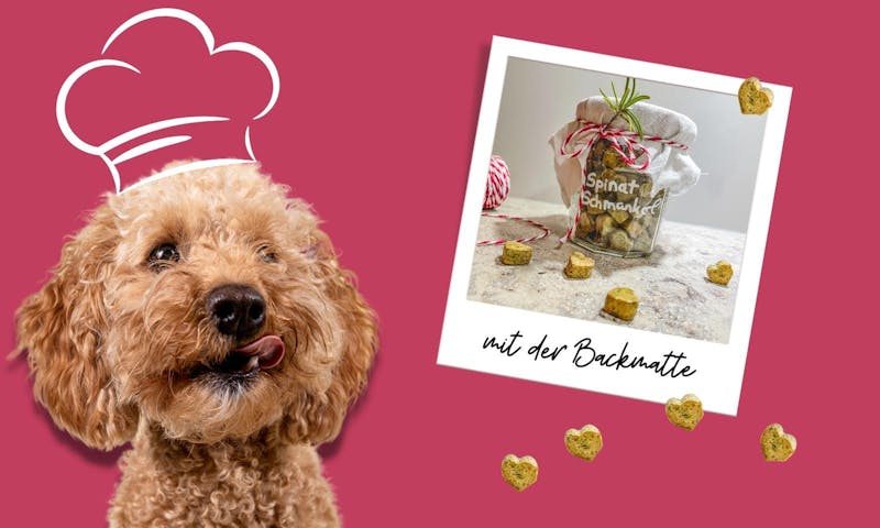 Backmatten Hundekeks Rezept mit Spinat und Buchweizenmehl