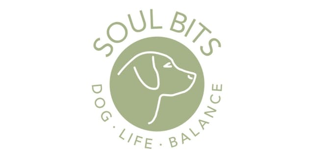 Logo Soul Bits