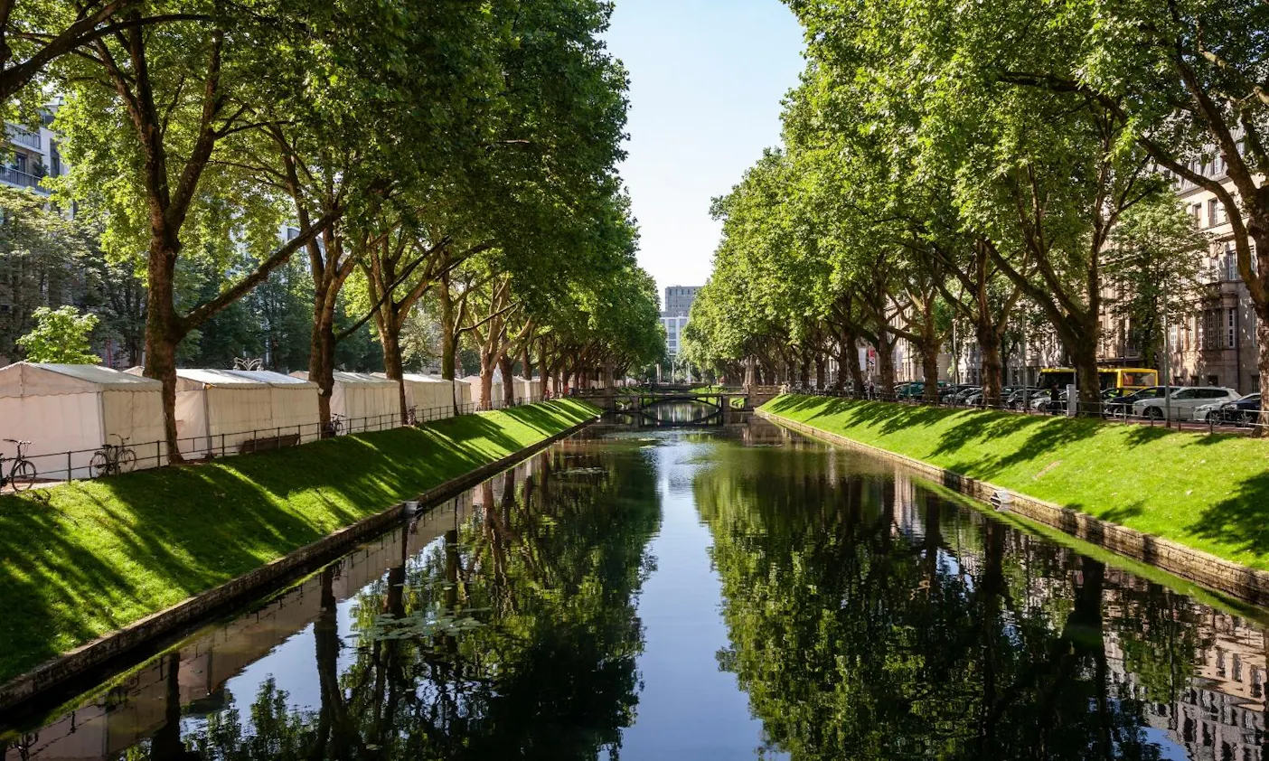 Königsallee in Düsseldorf mit Hund