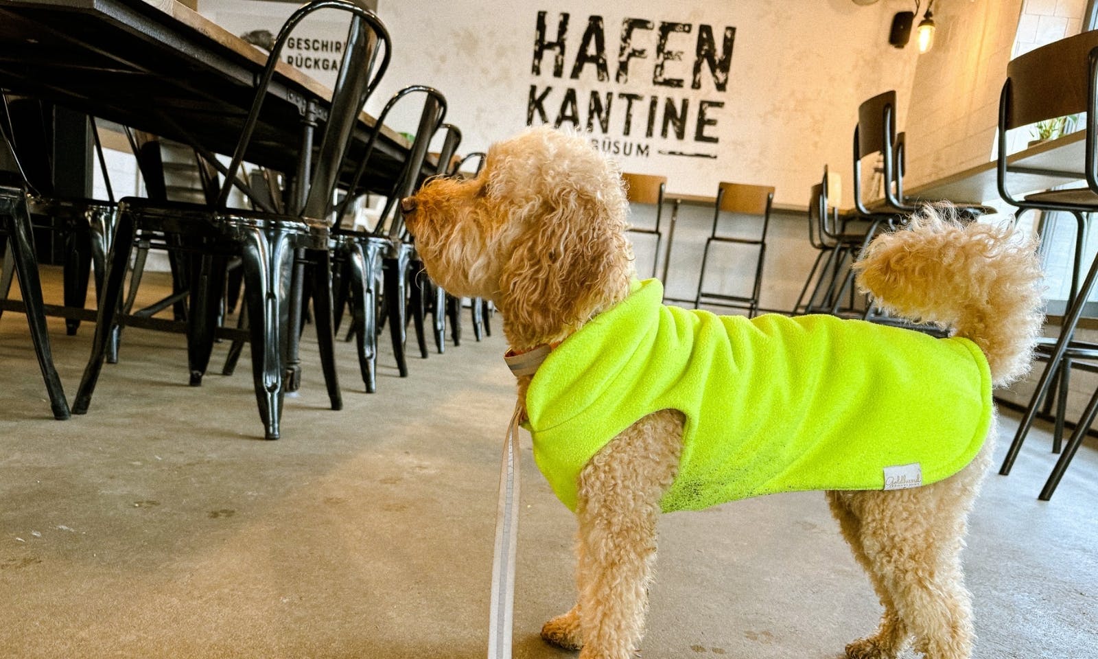Hundefreundliches Restaurant Hafenkantine im Büsumer Hafen 
