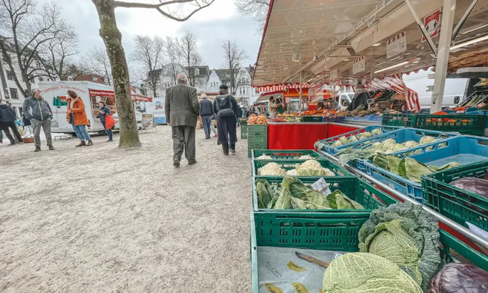 mit Hund in Aachen unterwegs