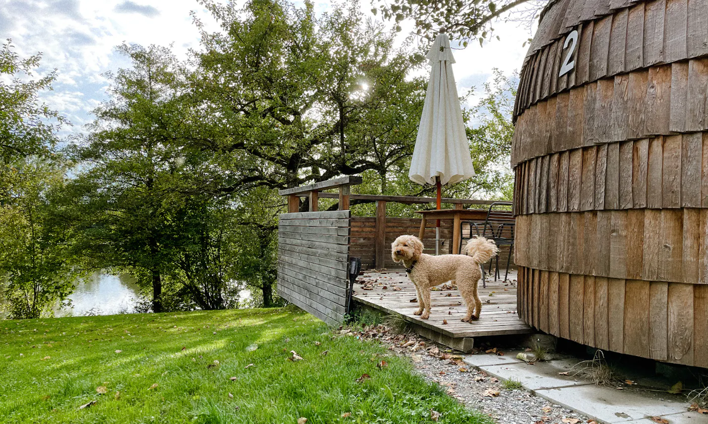 Glamping mit Hund in Wangen im Allgäu