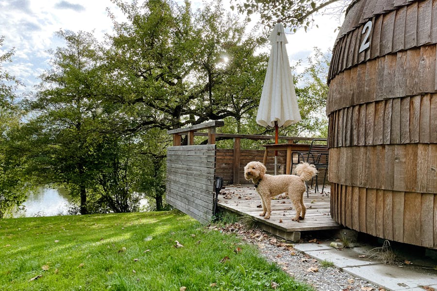 Glamping im Iglucamping mit Hund in Bayern mit Hund