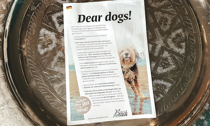 Hunderegeln im Hotel