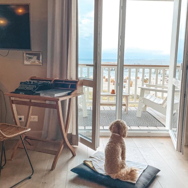 Beach Motel Heiligenhafen mit Hund