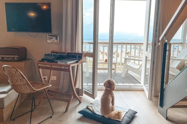 Beach Motel Heiligenhafen mit Hund