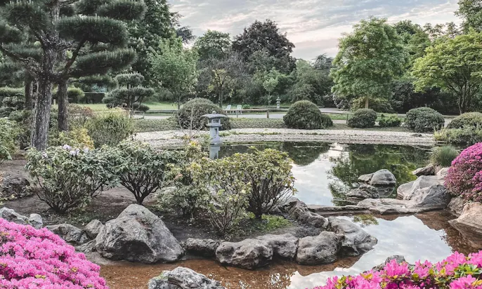 Japanischer Garten mit Hund