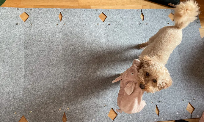 Aufbau von der Hundehütte Pet Home