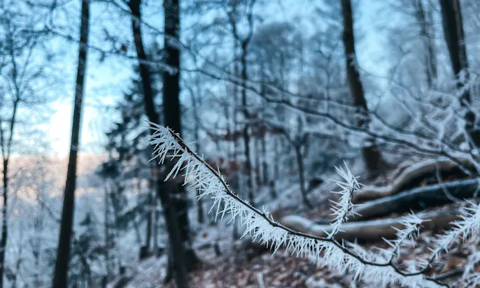 Bergischer Weg im Winter