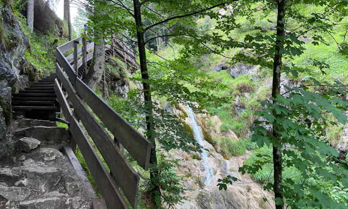 Rehbachklamm Wanderwege mit Hund
