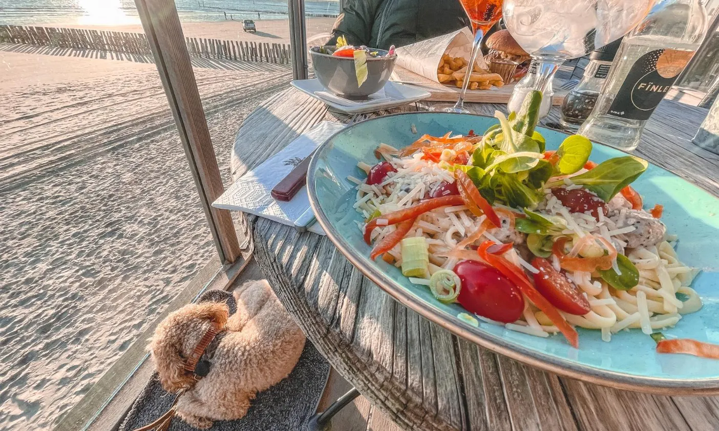 Reisdecke für Hunde