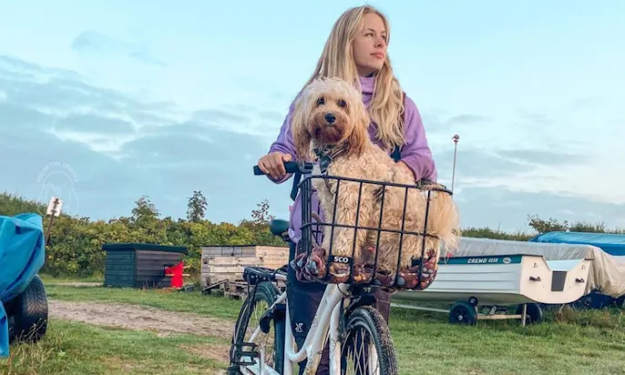 Tollerdoodle mit Besitzerin Cecilie in Dänemark