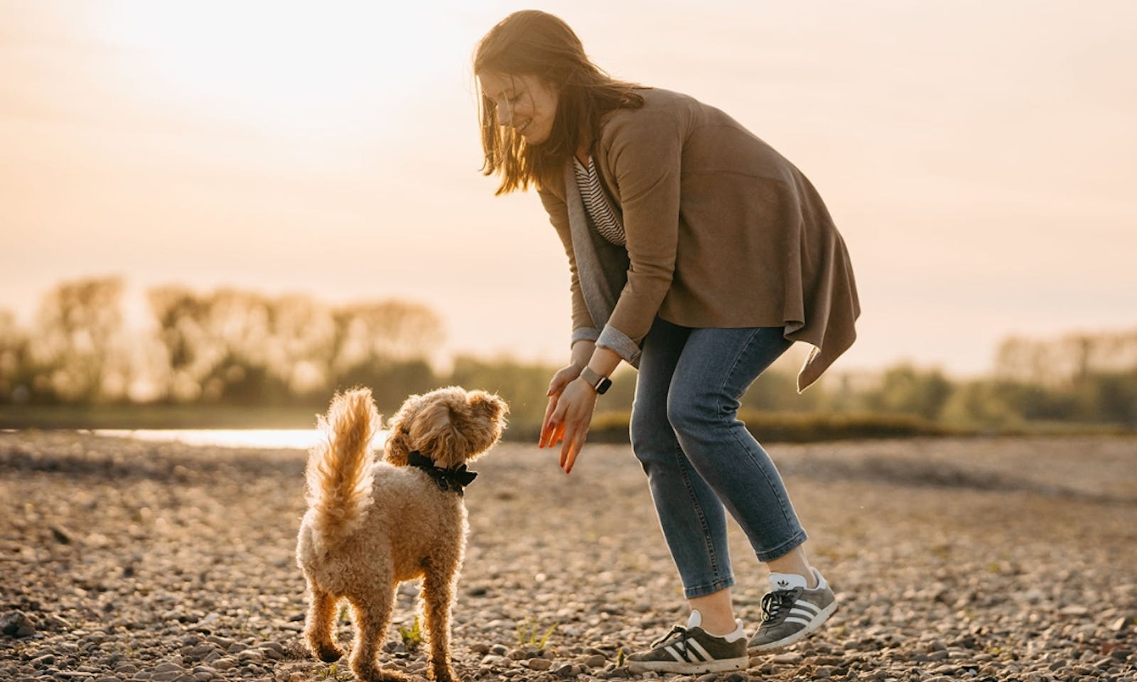 Frau spielt mit Mini Goldendoodle am Rhein in Düsseldorf