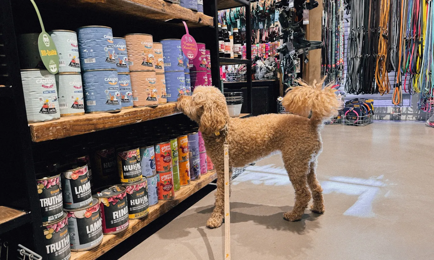 Hund schnuppert an Hundefutter in der Hund von Eden Boutique