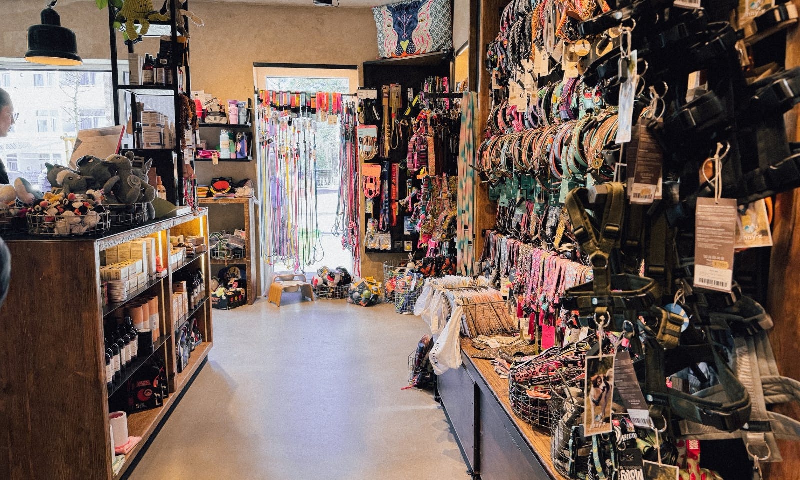 Blick auf Hundeleinen, Halsbänder und sonstige Produkte in der Hund von Eden Boutique