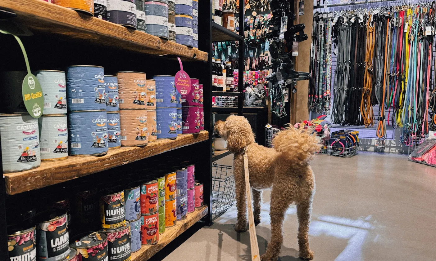 Ein Hund steht vor einem Regal mit Hundefutter im Hund von Eden Store