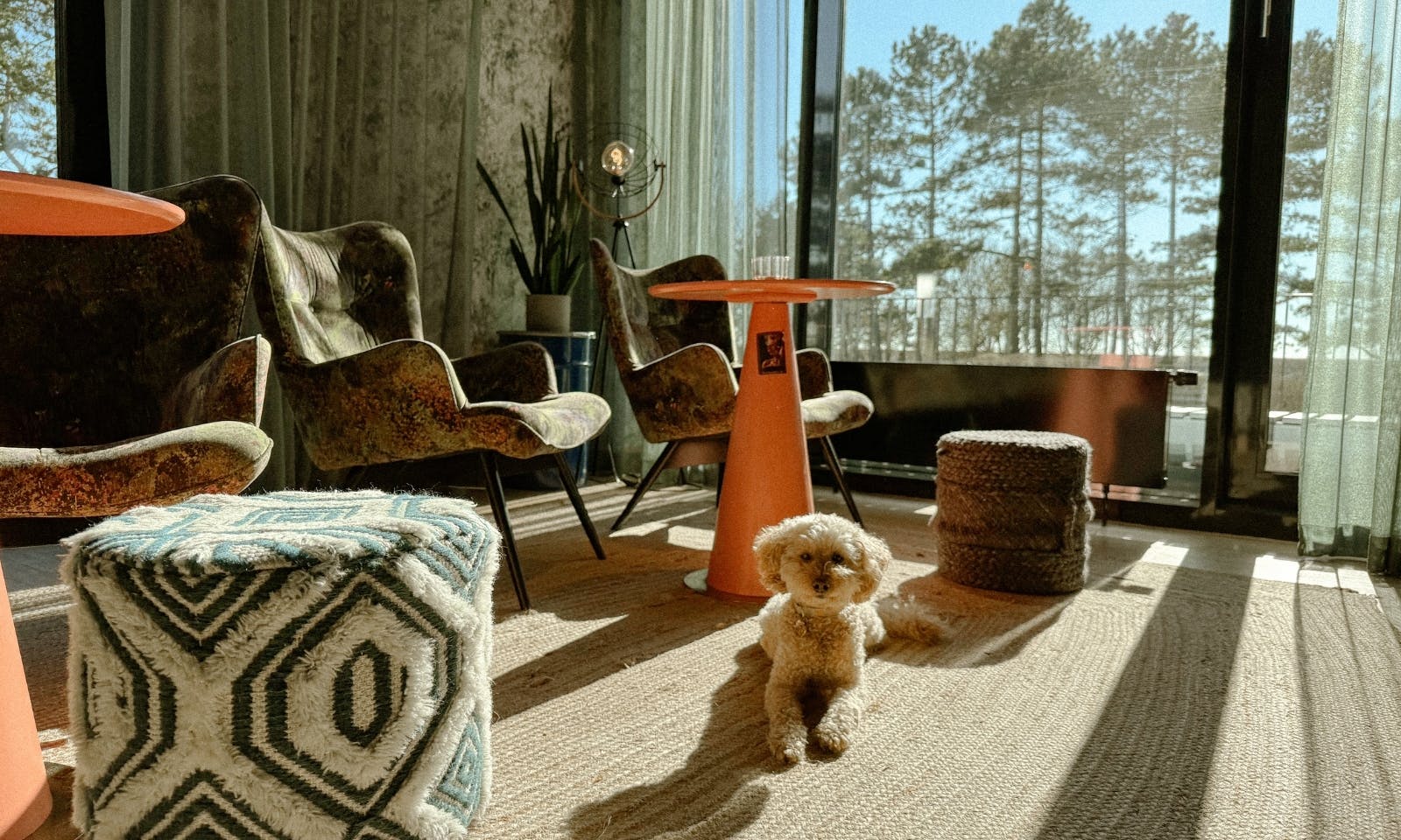 Urban Nature mit Hund