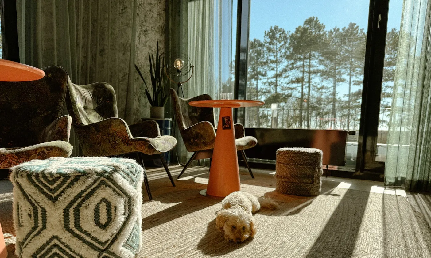Urban Nature in St. Peter-Ording mit Hund