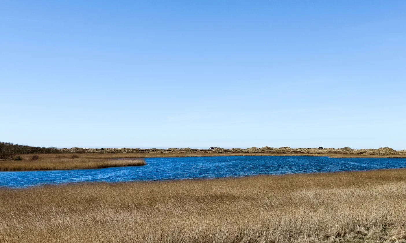 Urlaub in St. Peter-Ording mit Hund