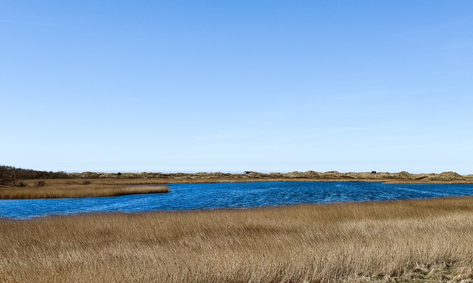 Urlaub in St. Peter-Ording mit Hund