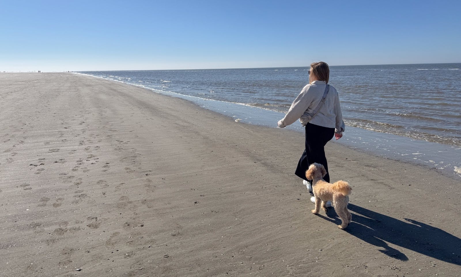 Urlaub in St. Peter-Ording mit Hund