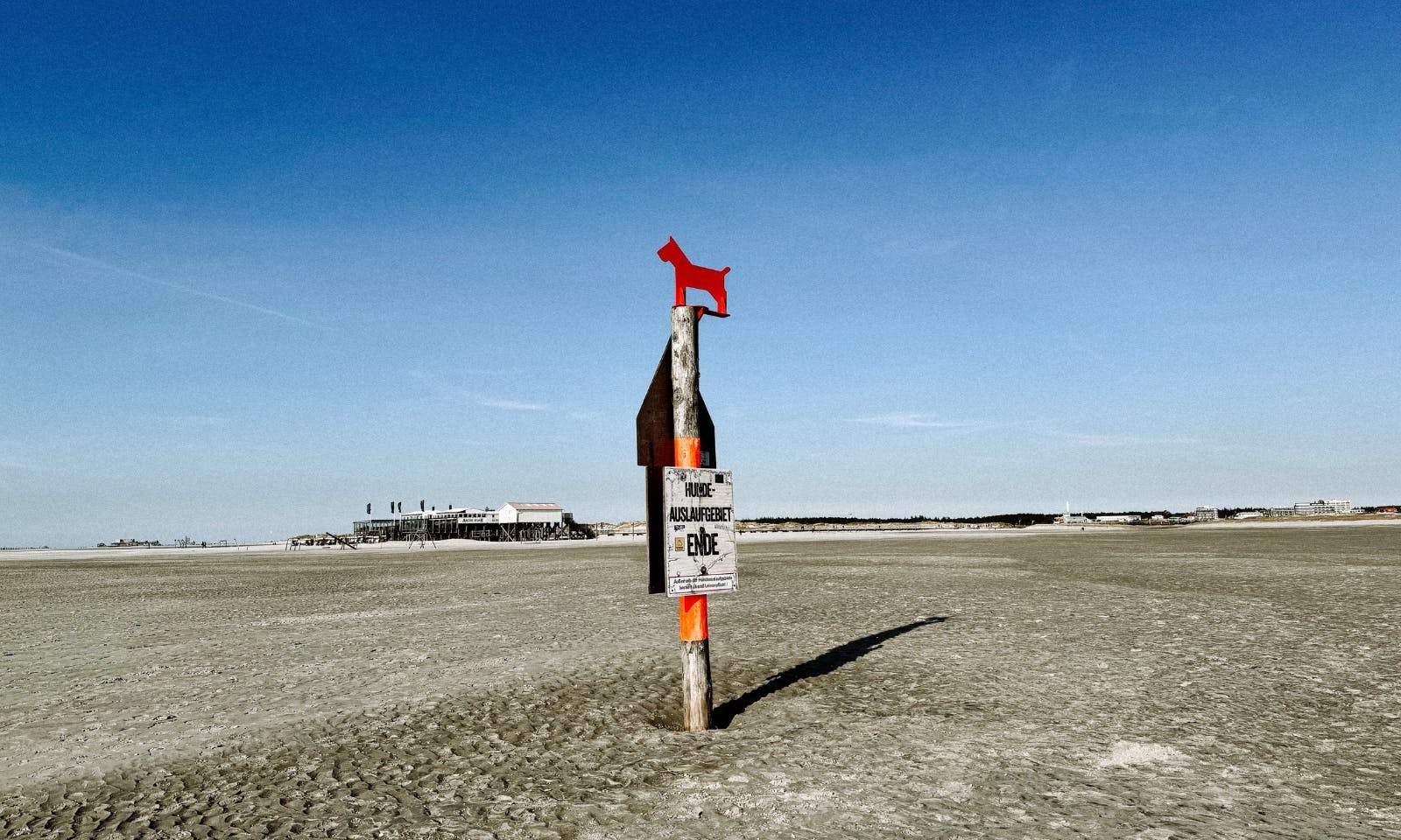 Urlaub mit Hund in St. Peter-Ording